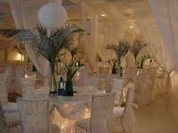 /album/bodas/a1285471975-123899795-1-decoraciones-para-matrimonios-15-anos-baby-shower-despedida-de-solteros-primera-comunion-el-vinedo-1285471975-jpg/