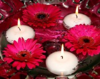 /album/bodas/timthumb-jpg/